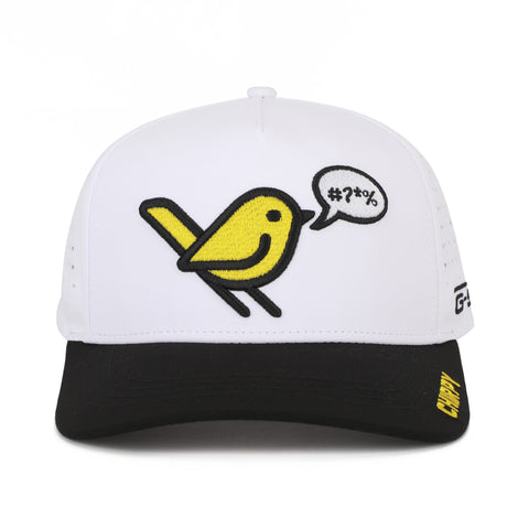 Chirpy Embroidered Perforated Cap - GSW Caps Collection
