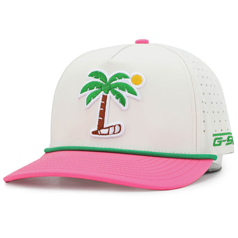 Palm Tree