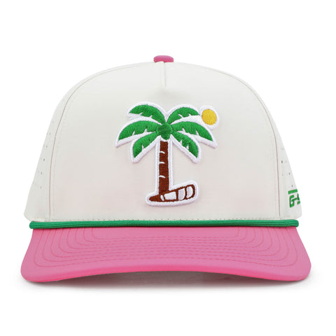 Palm Tree