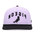 Pigeon | GSW Caps Collection